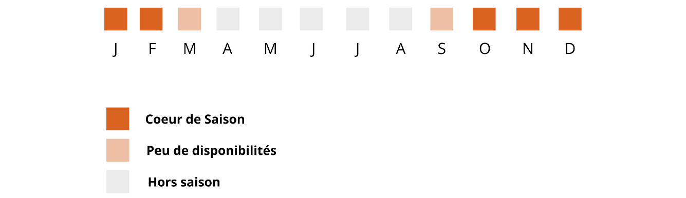 calendrier courges