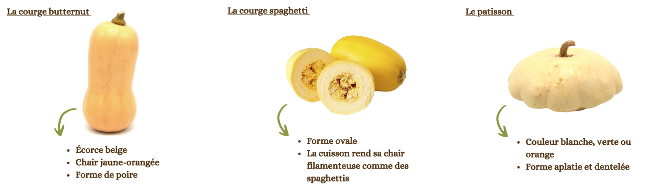 courges 1